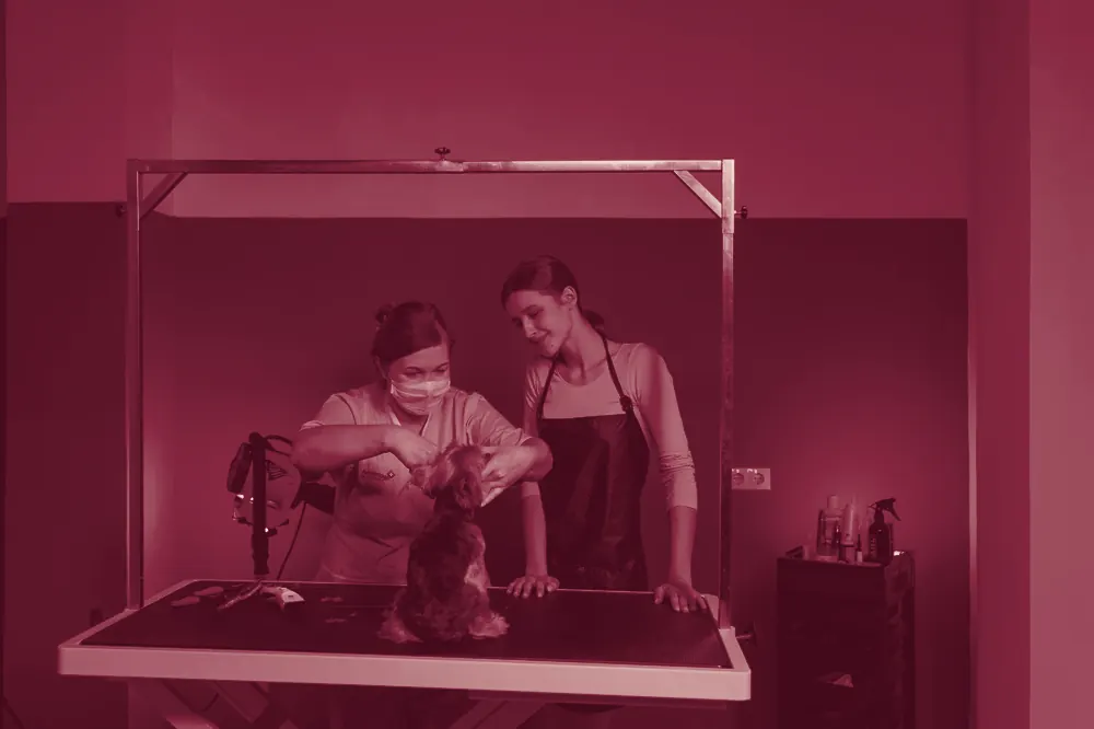 Groomers at work at a grooming station